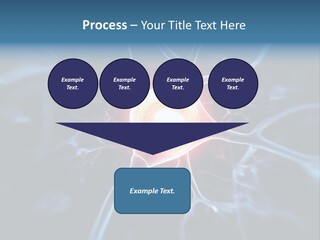 Axon Human Nucleus PowerPoint Template