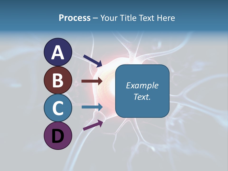 Axon Human Nucleus PowerPoint Template