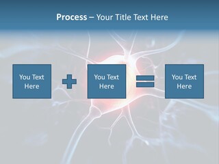 Axon Human Nucleus PowerPoint Template