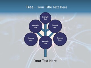 Axon Human Nucleus PowerPoint Template