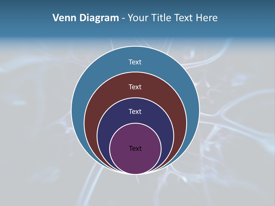 Axon Human Nucleus PowerPoint Template
