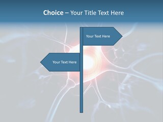 Axon Human Nucleus PowerPoint Template