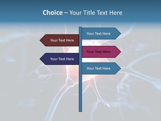 Axon Human Nucleus PowerPoint Template
