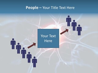 Axon Human Nucleus PowerPoint Template