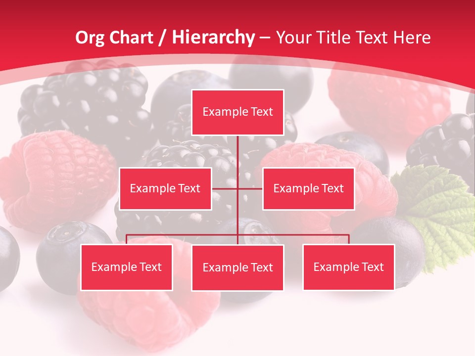 Blackberry Ingredient Light PowerPoint Template