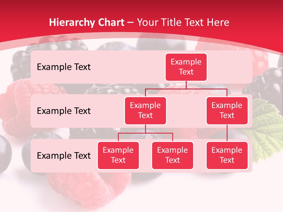 Blackberry Ingredient Light PowerPoint Template