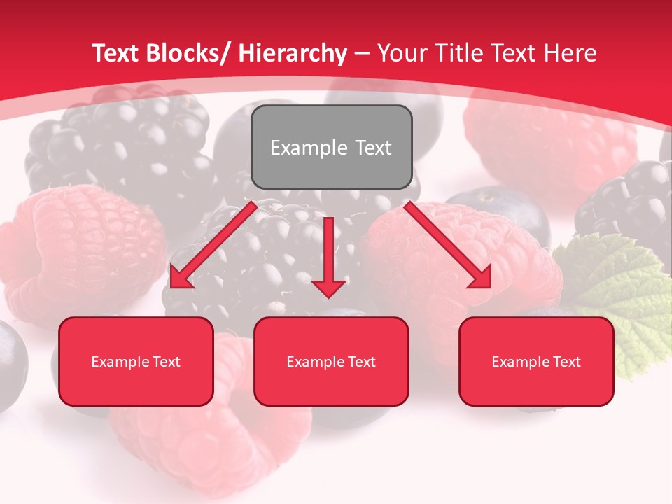 Blackberry Ingredient Light PowerPoint Template