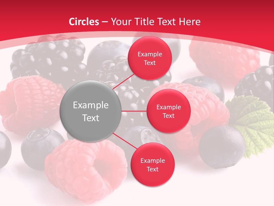 Blackberry Ingredient Light PowerPoint Template