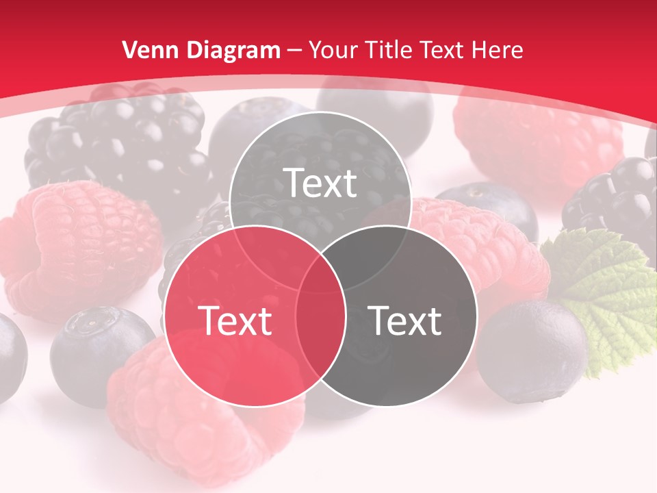 Blackberry Ingredient Light PowerPoint Template