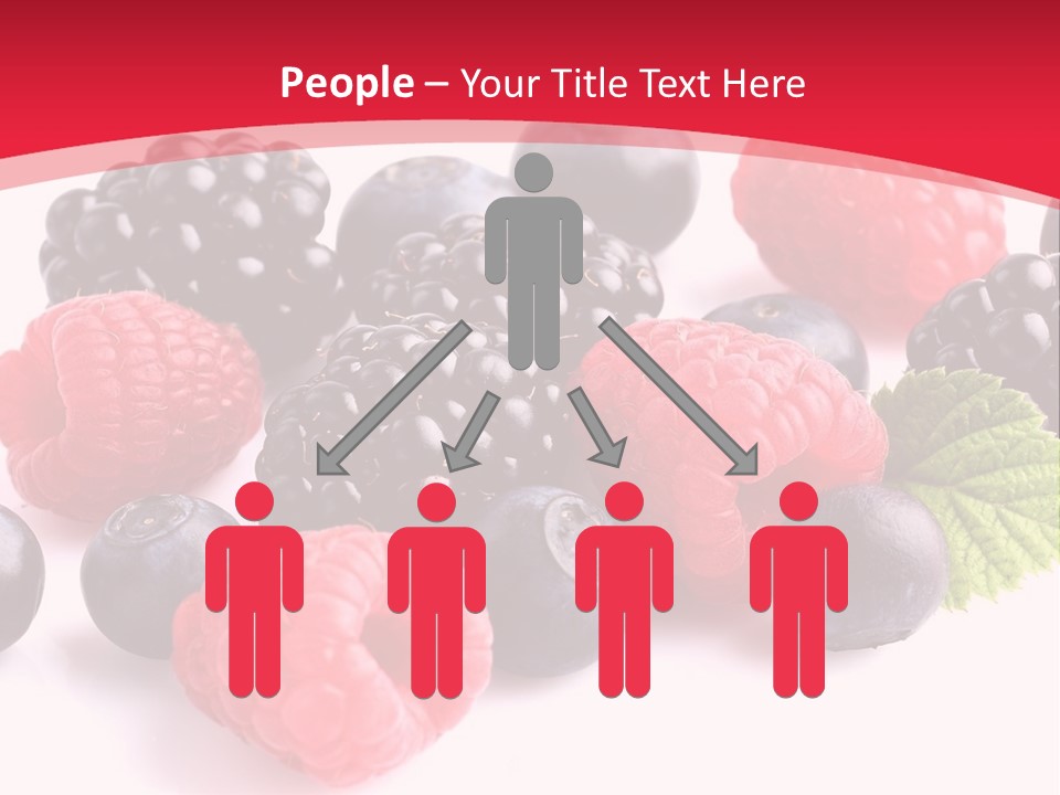 Blackberry Ingredient Light PowerPoint Template