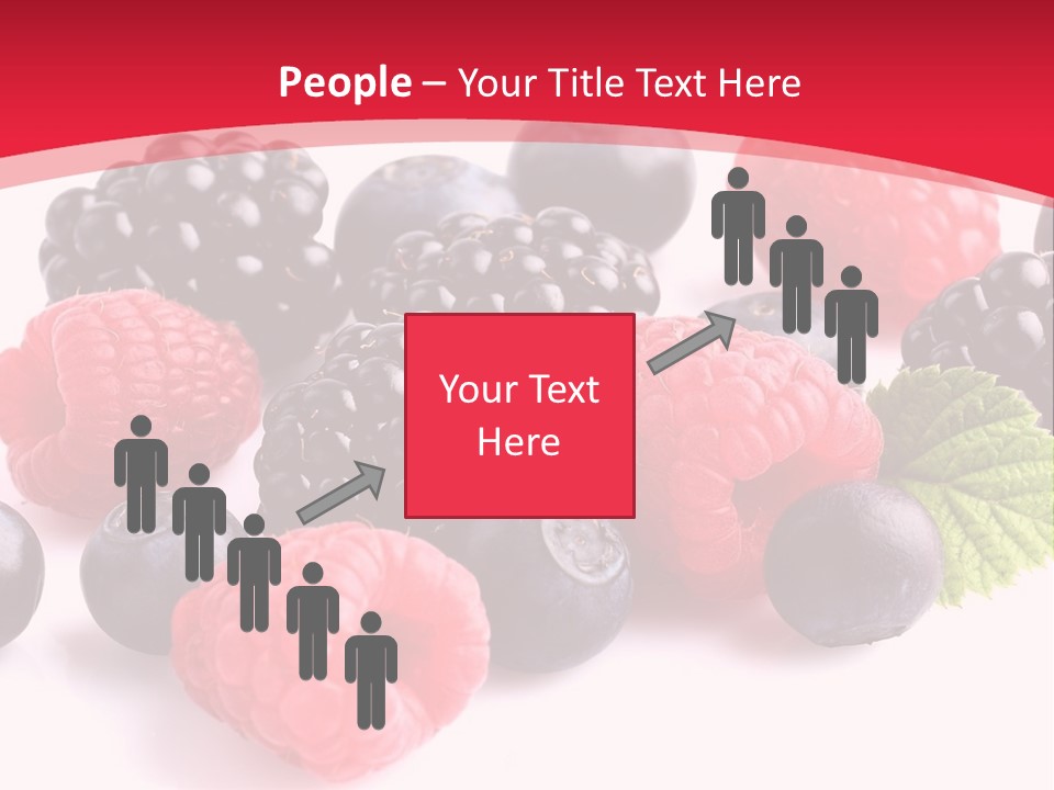 Blackberry Ingredient Light PowerPoint Template
