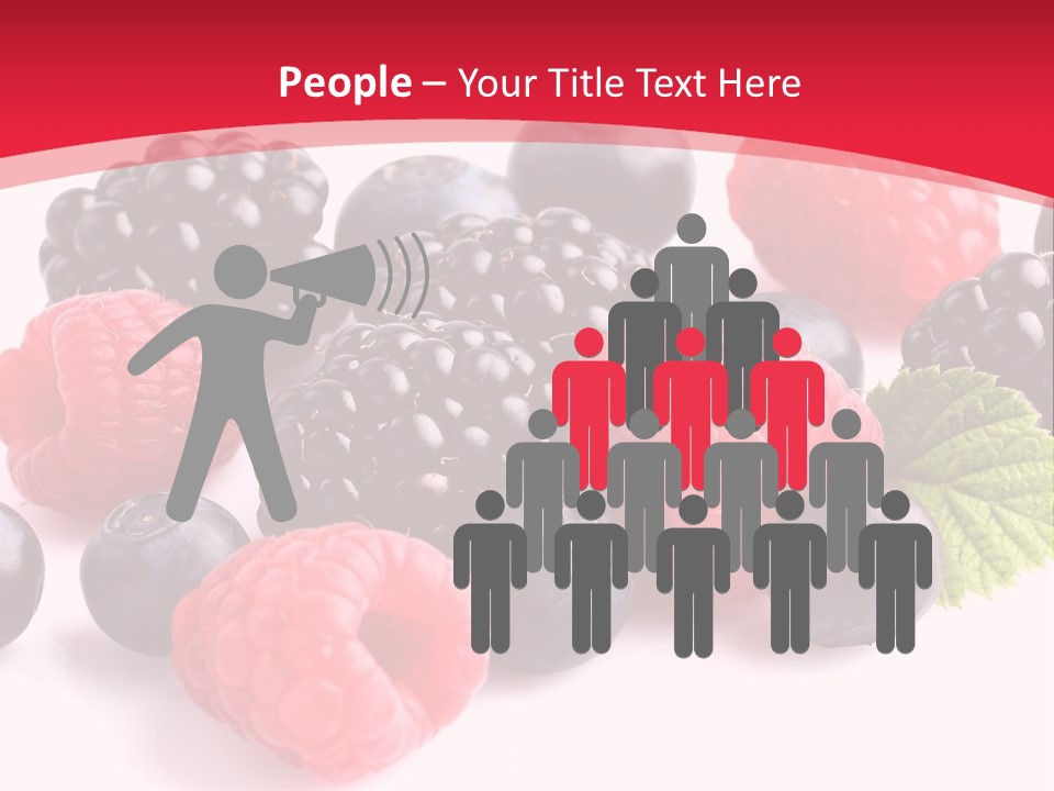 Blackberry Ingredient Light PowerPoint Template