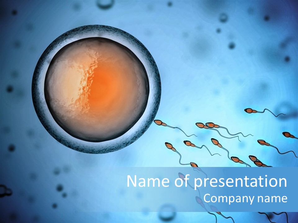 Feminine Cell Win PowerPoint Template