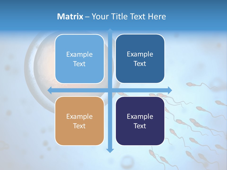 Feminine Cell Win PowerPoint Template