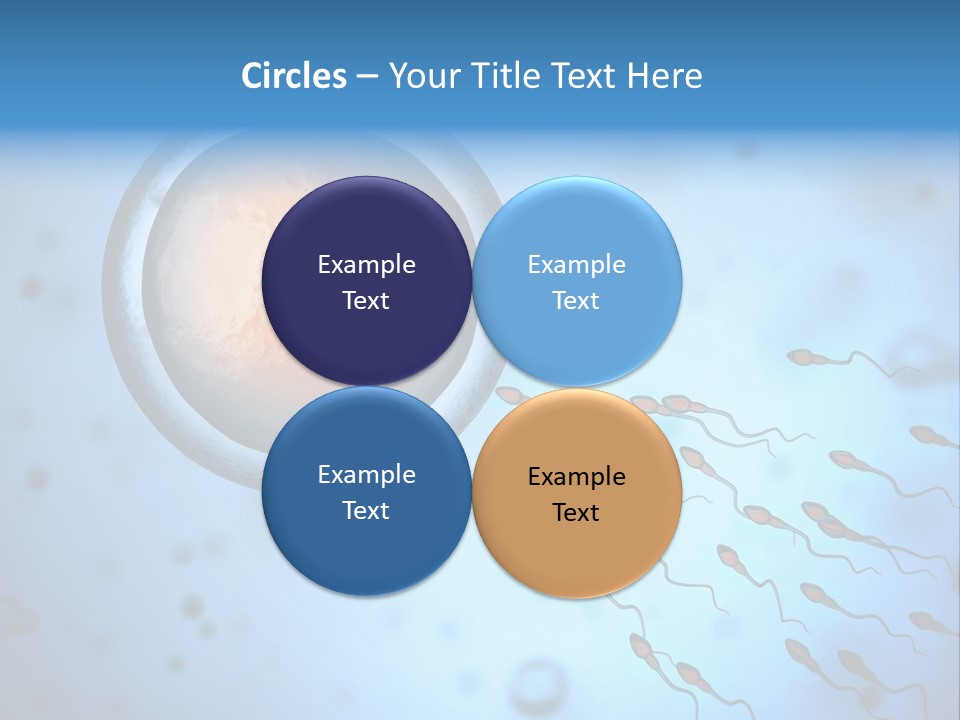 Feminine Cell Win PowerPoint Template