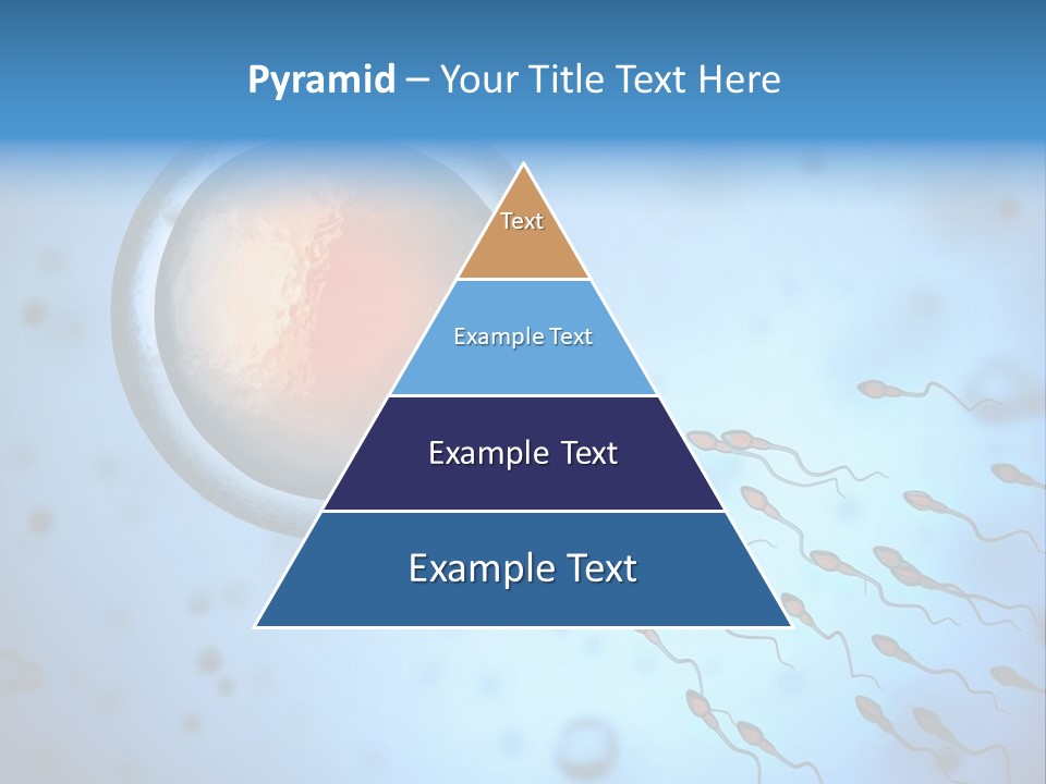 Feminine Cell Win PowerPoint Template