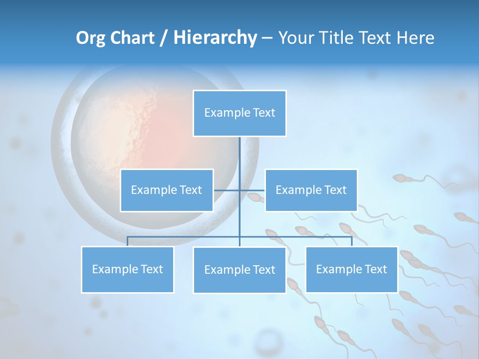 Feminine Cell Win PowerPoint Template