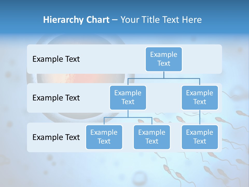 Feminine Cell Win PowerPoint Template