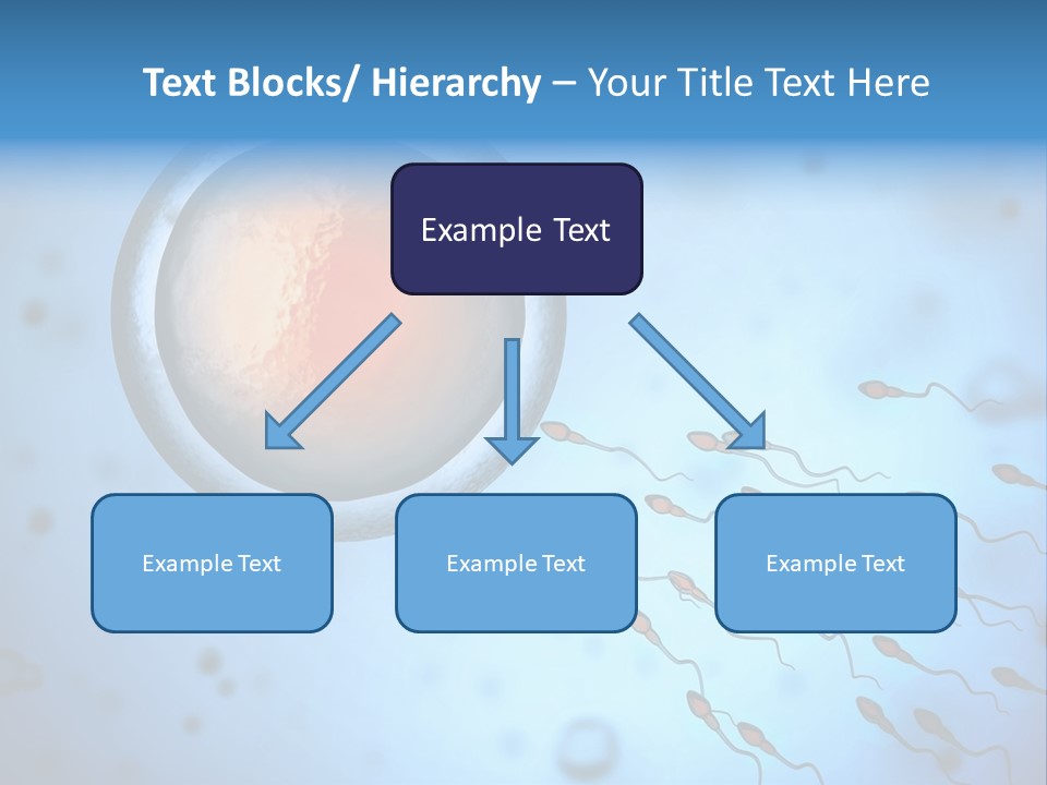 Feminine Cell Win PowerPoint Template