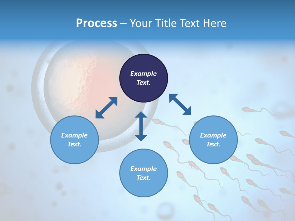 Feminine Cell Win PowerPoint Template