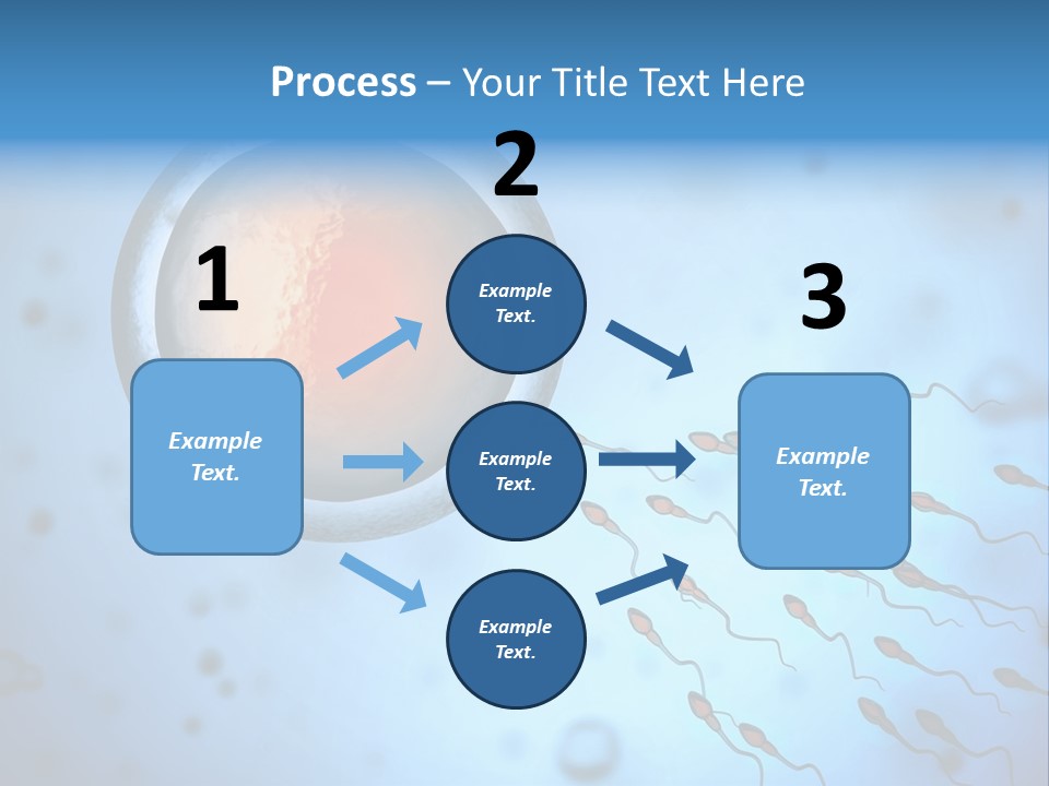 Feminine Cell Win PowerPoint Template