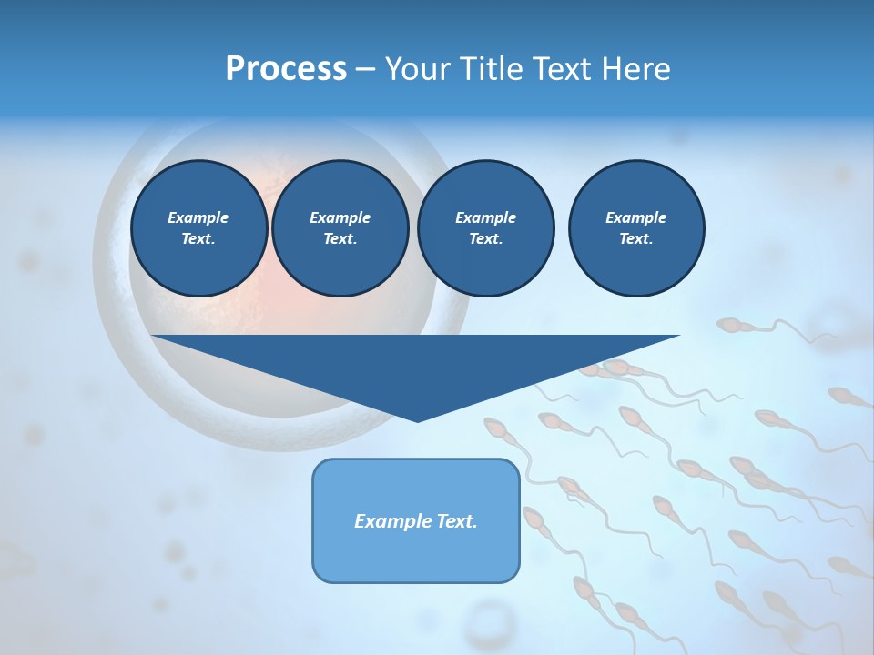 Feminine Cell Win PowerPoint Template