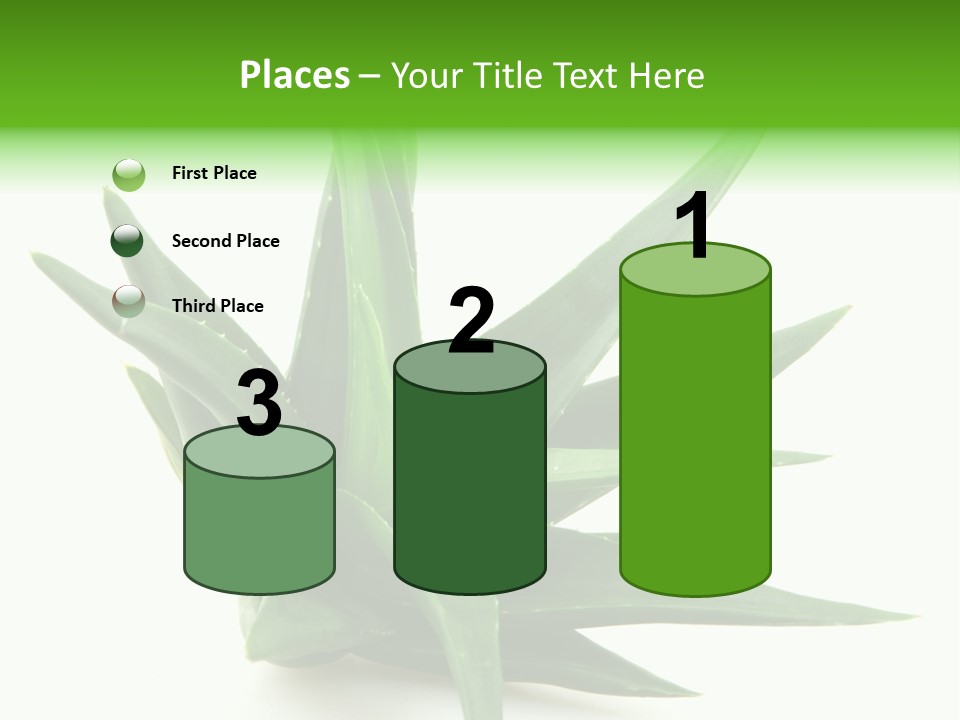 Nature White Green PowerPoint Template