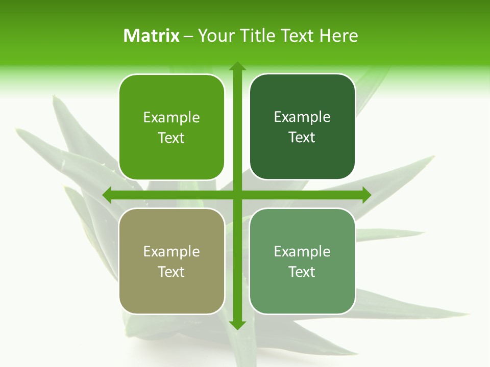 Nature White Green PowerPoint Template