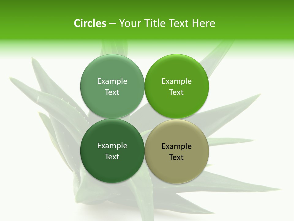 Nature White Green PowerPoint Template