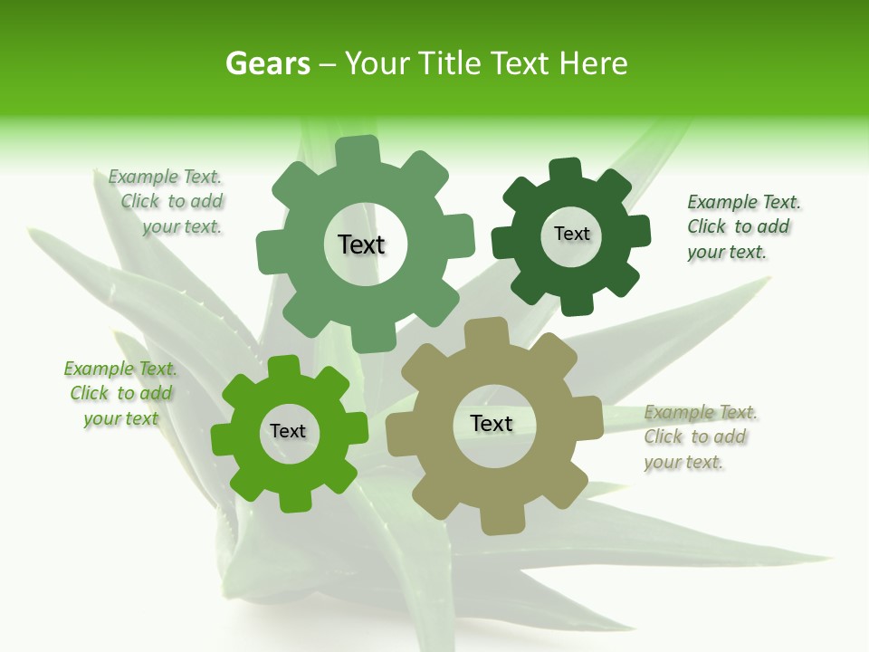 Nature White Green PowerPoint Template