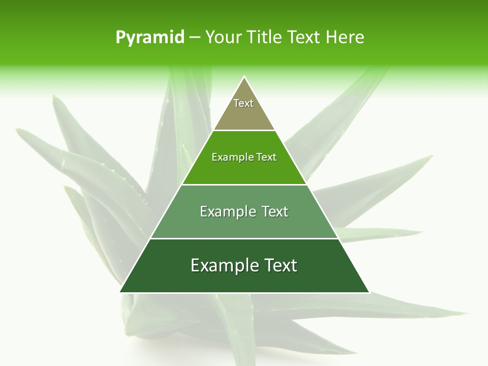 Nature White Green PowerPoint Template