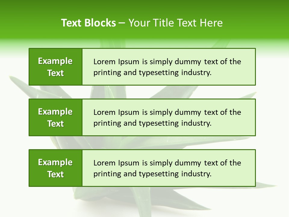 Nature White Green PowerPoint Template
