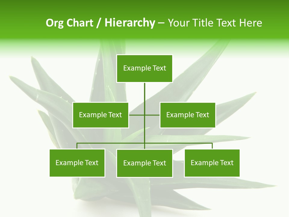 Nature White Green PowerPoint Template