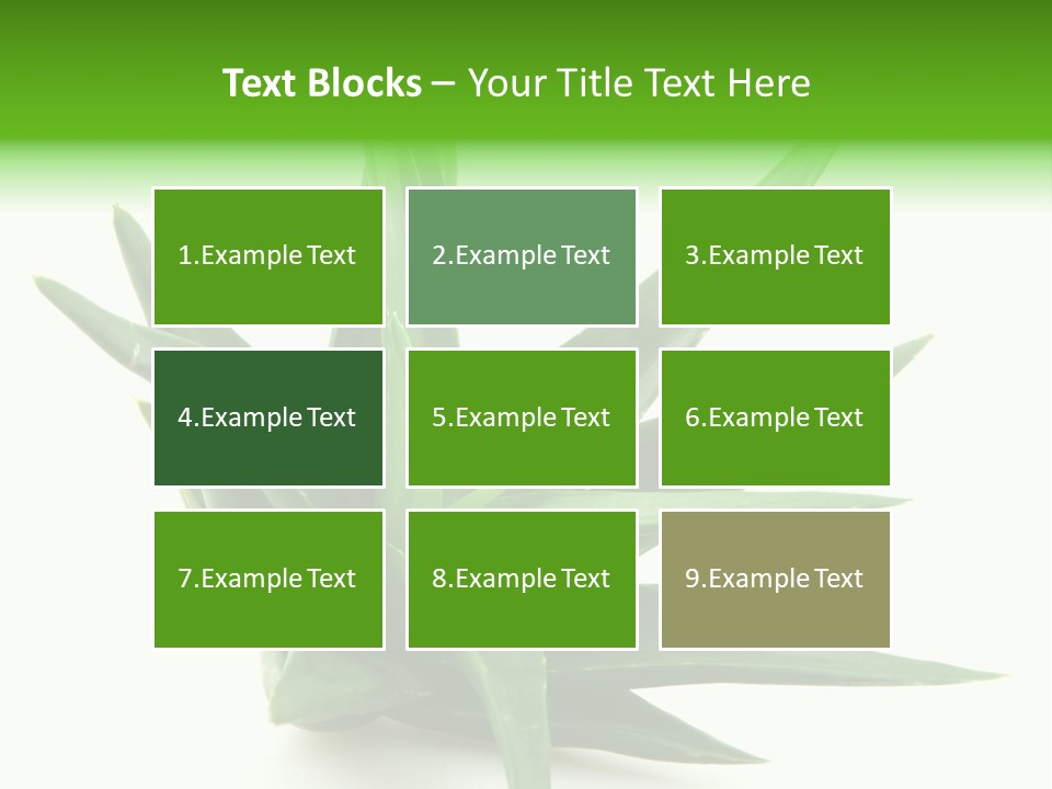 Nature White Green PowerPoint Template