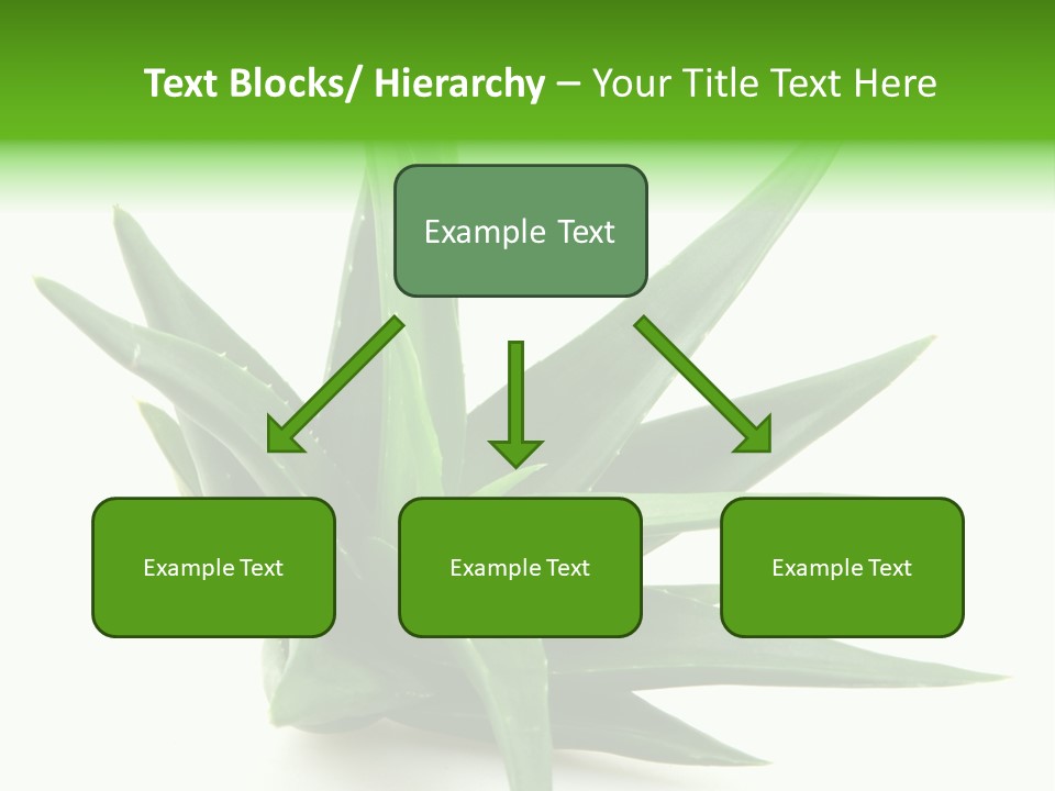 Nature White Green PowerPoint Template