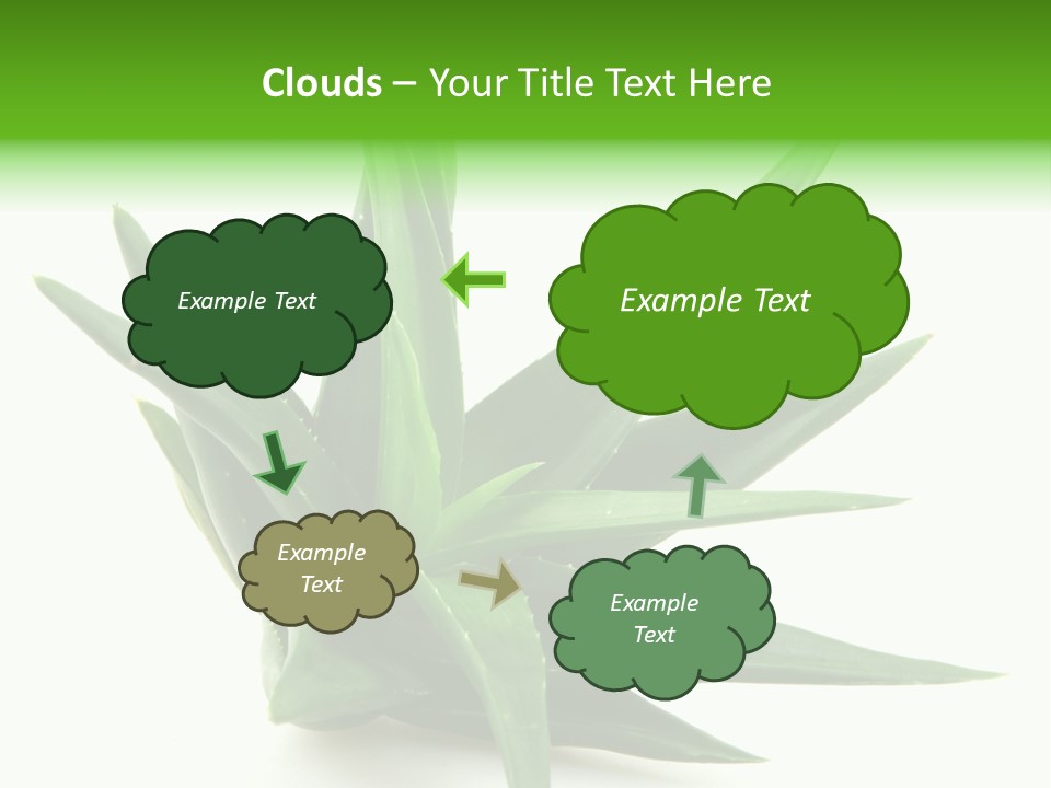 Nature White Green PowerPoint Template