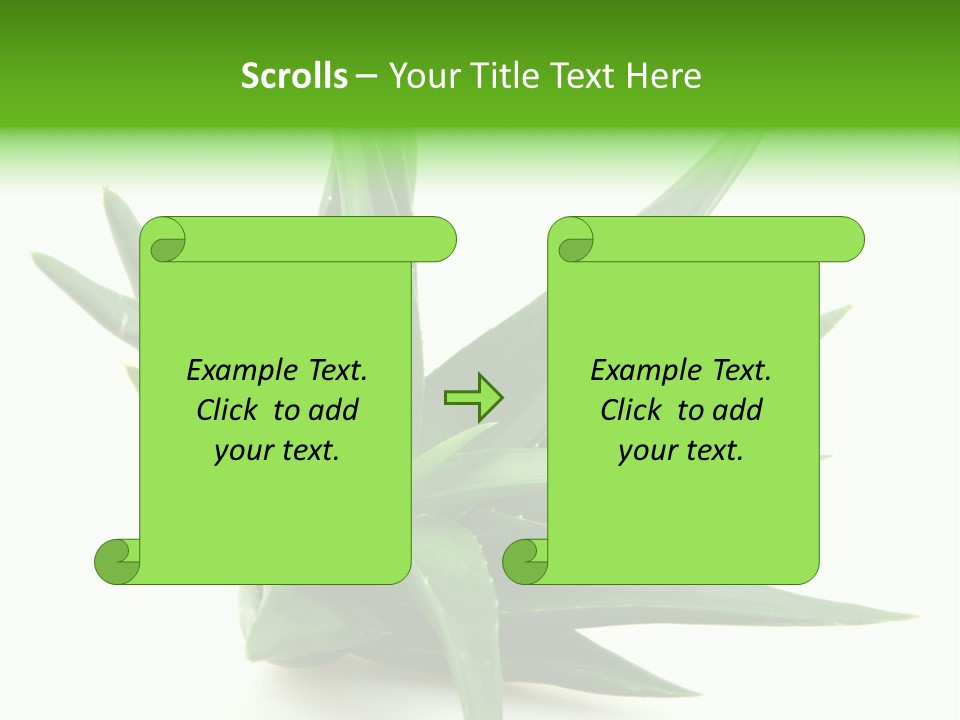 Nature White Green PowerPoint Template