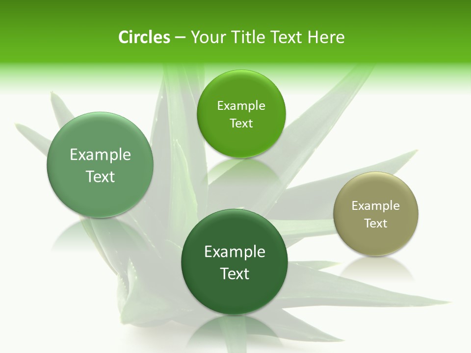 Nature White Green PowerPoint Template