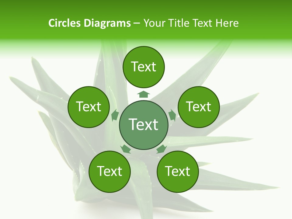 Nature White Green PowerPoint Template