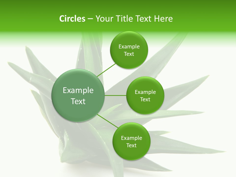 Nature White Green PowerPoint Template