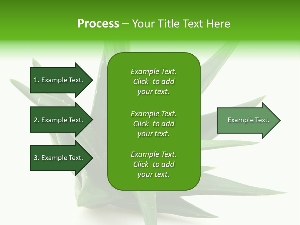 Nature White Green PowerPoint Template