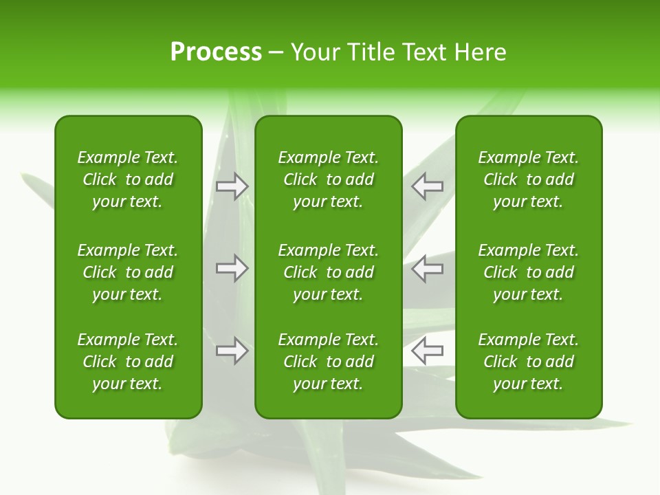 Nature White Green PowerPoint Template