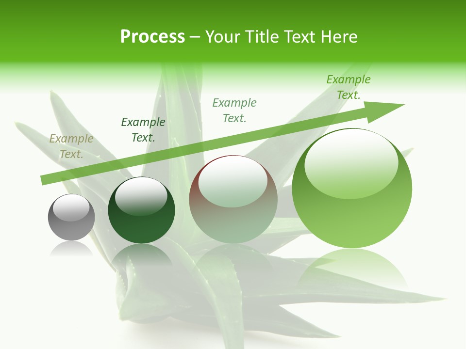 Nature White Green PowerPoint Template