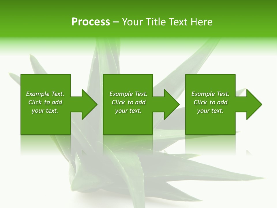 Nature White Green PowerPoint Template