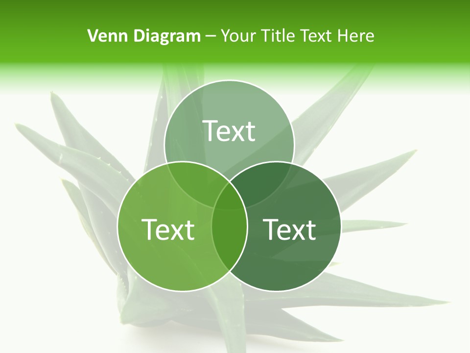 Nature White Green PowerPoint Template