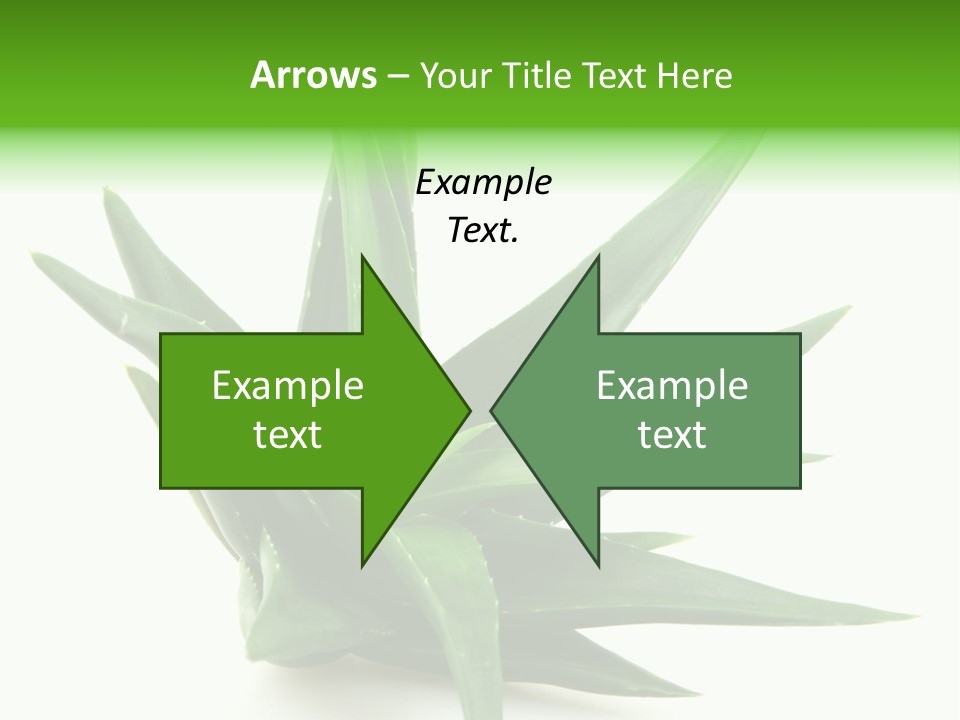 Nature White Green PowerPoint Template