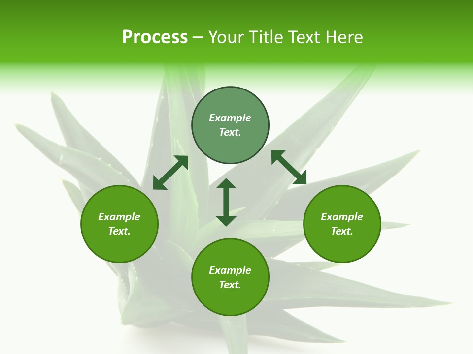 Nature White Green PowerPoint Template