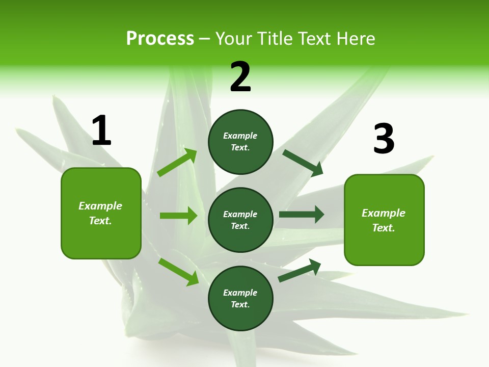 Nature White Green PowerPoint Template