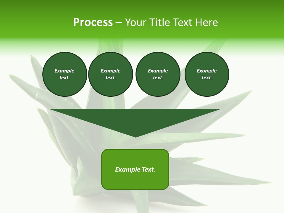Nature White Green PowerPoint Template