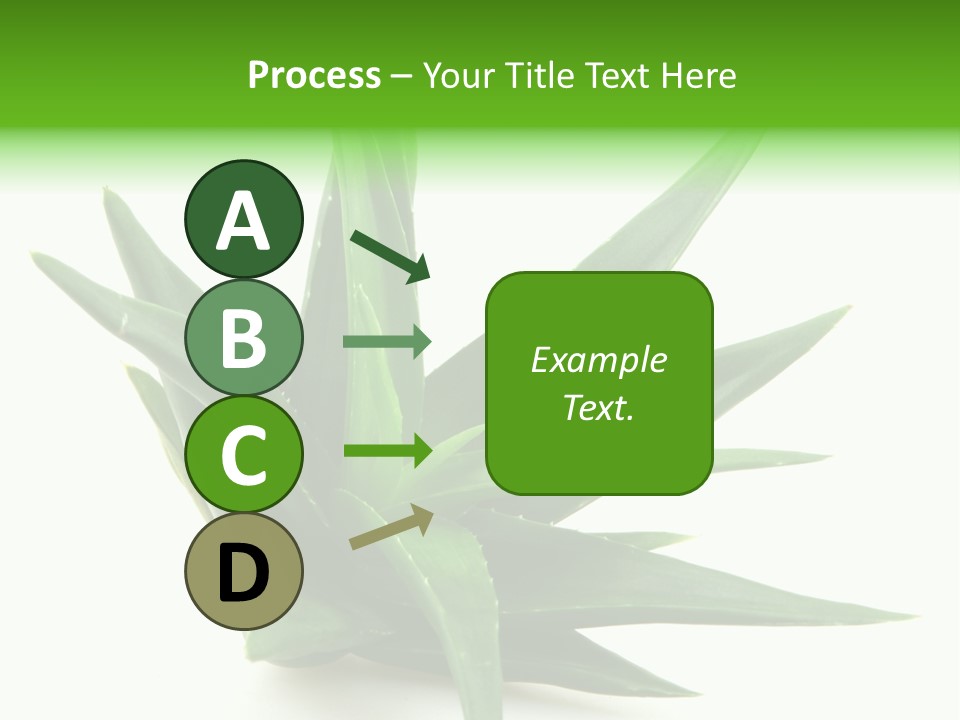 Nature White Green PowerPoint Template